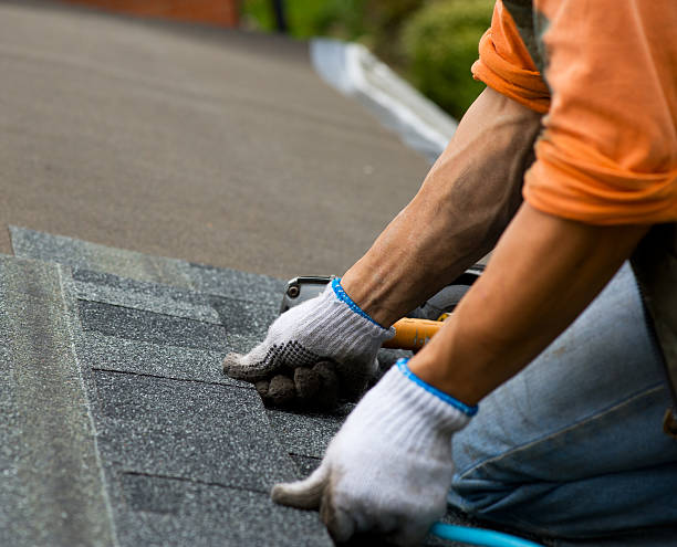 Best Local Roofing Companies  in Benton Heights, MI